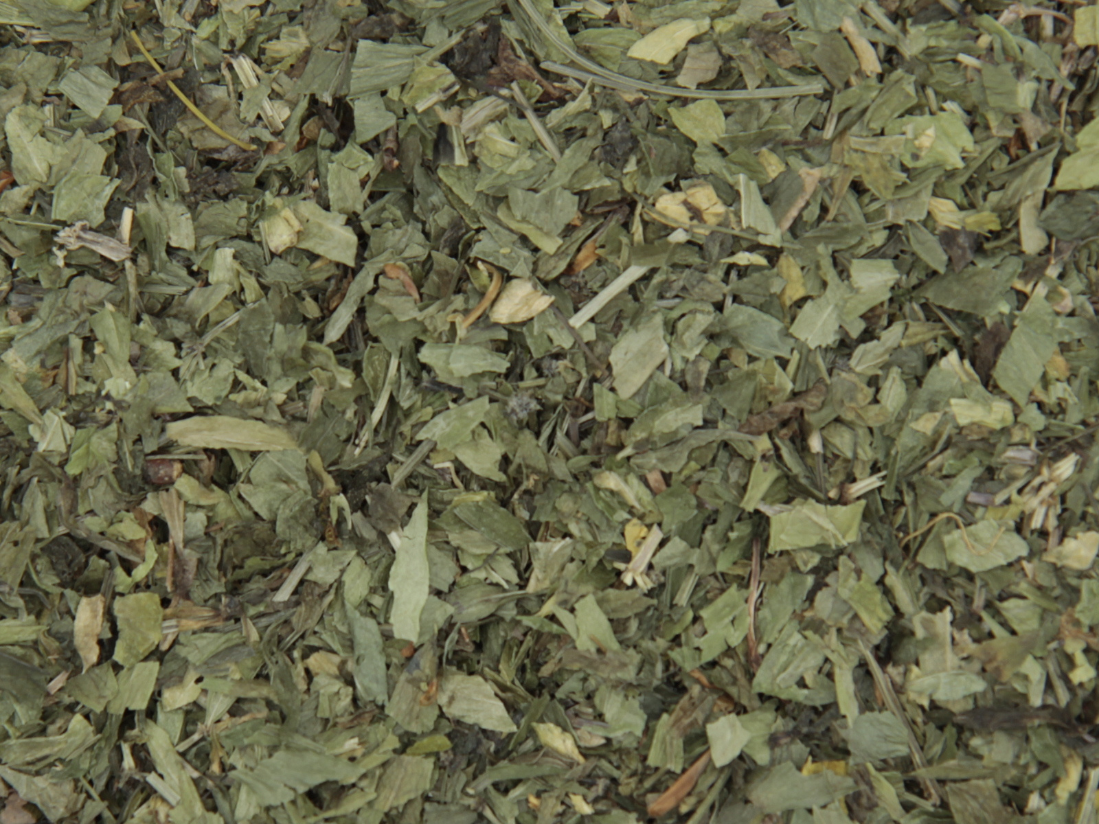 Aspérulee herbe Aspérulee herbe