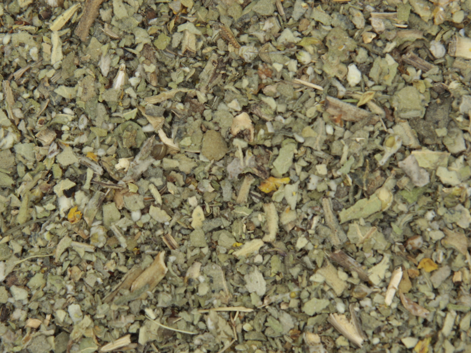 Bouillon blanc  feuille Bouillon blanc  feuille