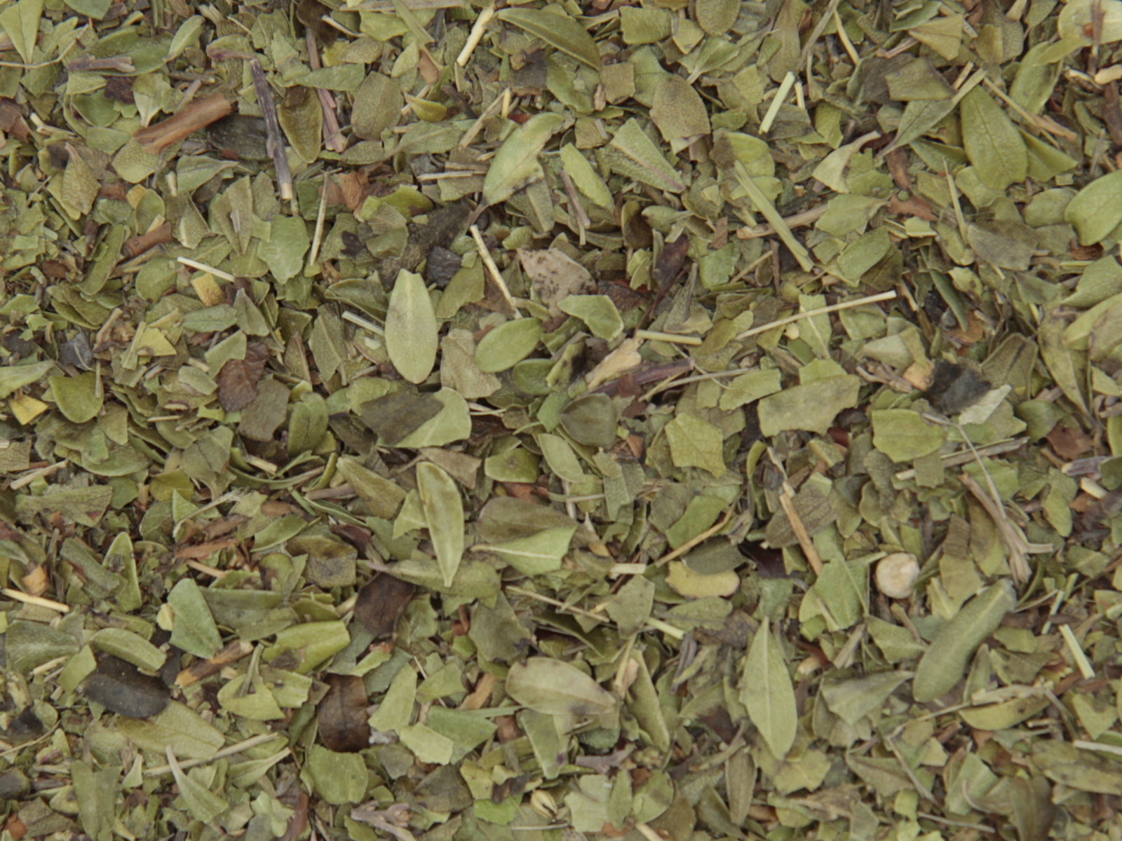 Busserole feuille Busserole feuille