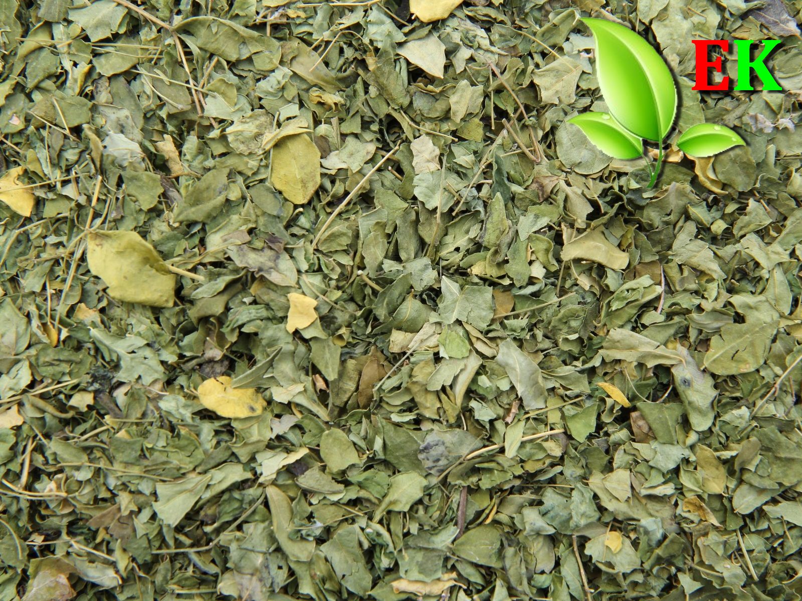 Moringa feuille Qualite extra