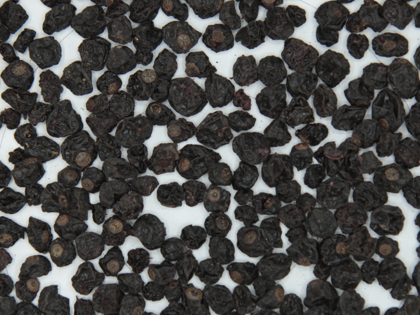 Cassis baie Cassis baie