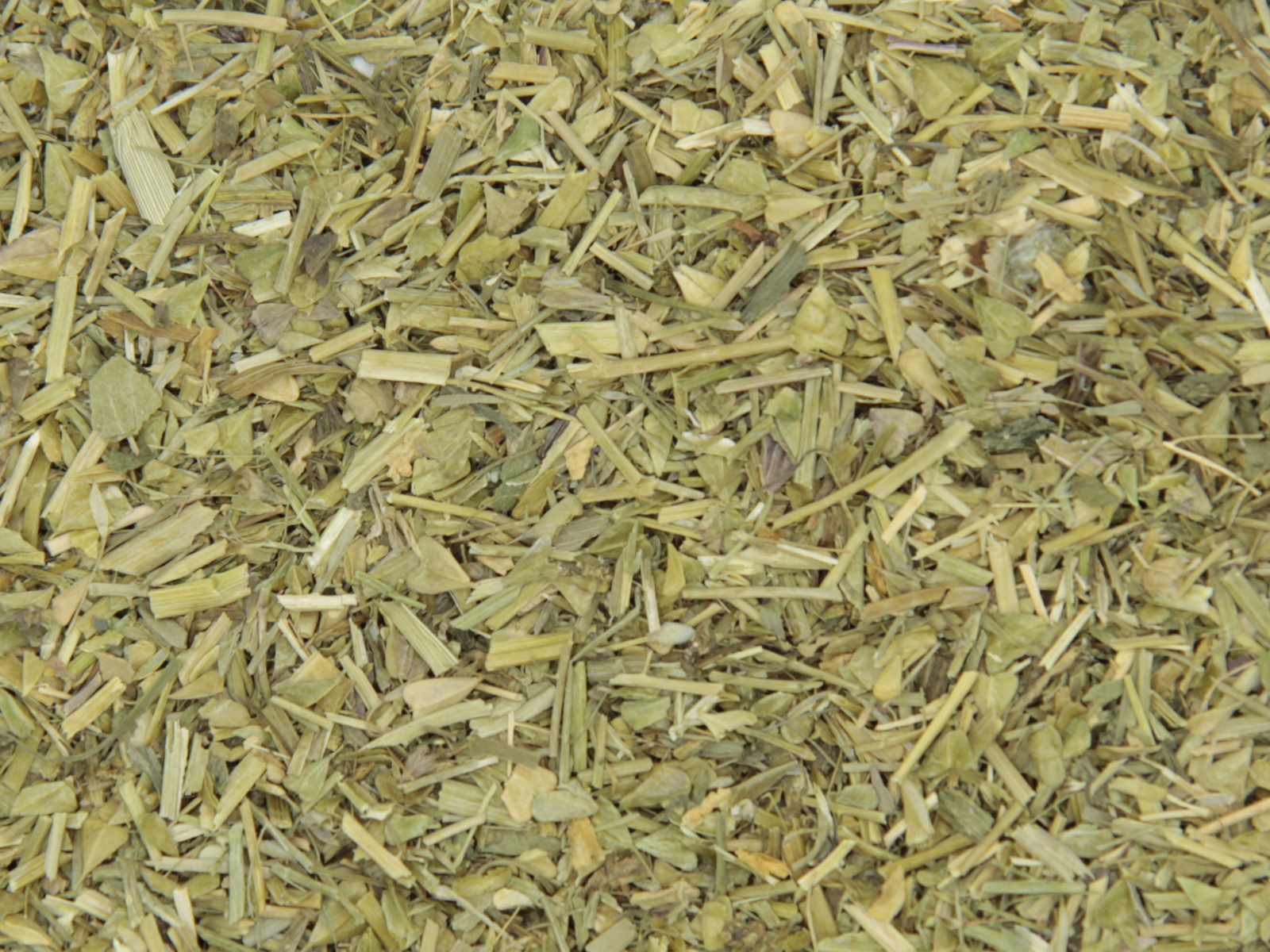 Bourse a pasteur herbe Bourse a pasteur herbe