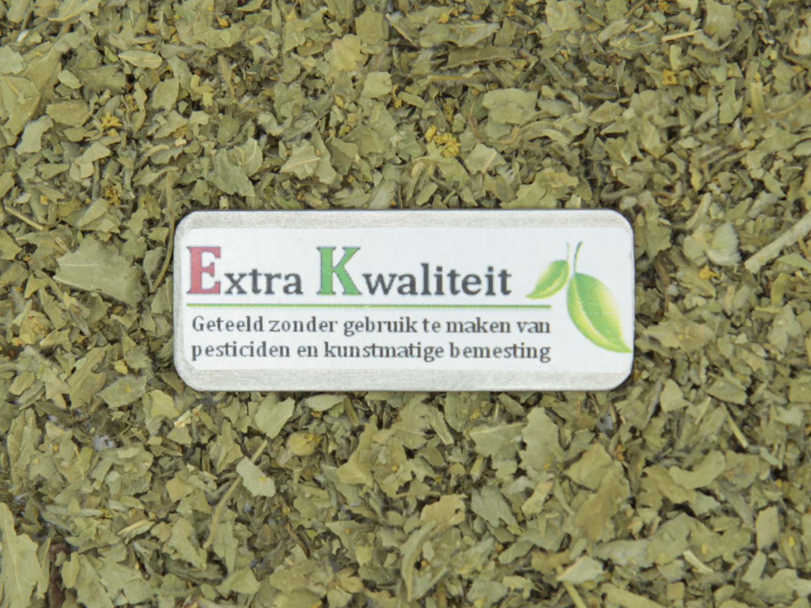 Alchemille vulgaire herbe Qualite extra Alchemille vulgaire herbe Qualite extra