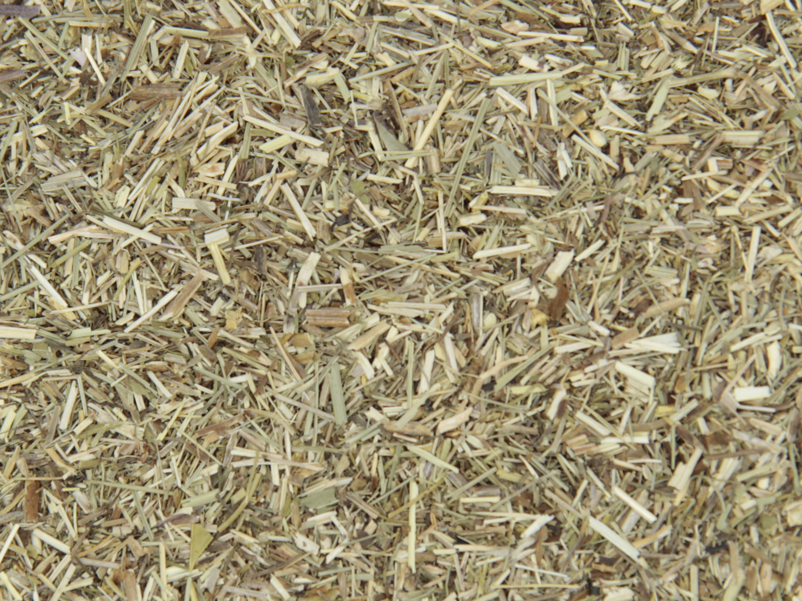 Caillelait herbe Caillelait herbe