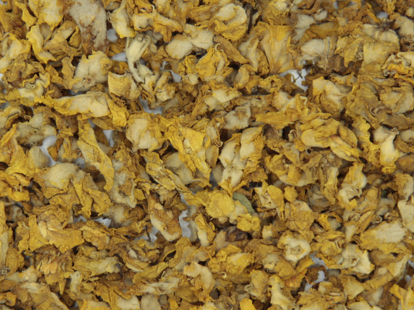 Bouillon blanc fleur Bouillon blanc fleur