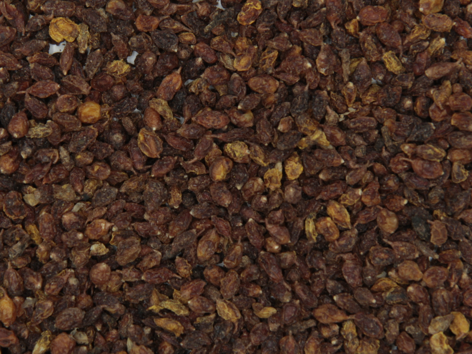 Baies d'Argousier Baies d'Argousier