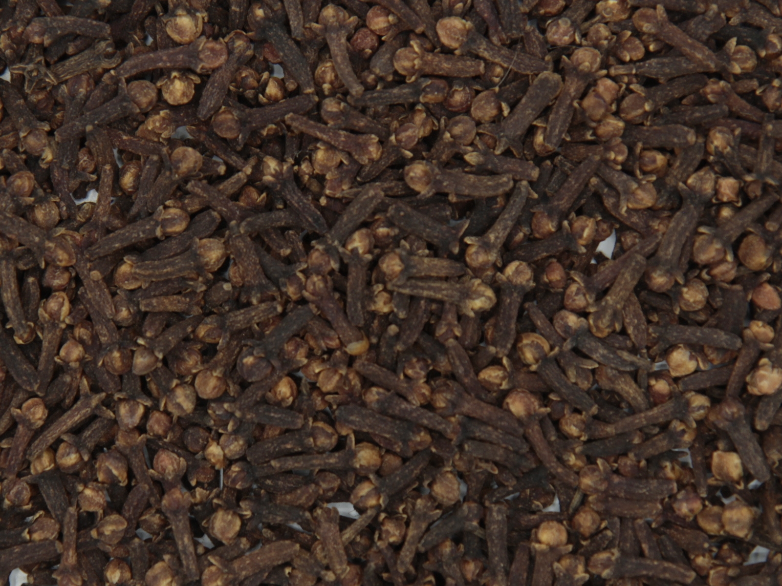 Cloves