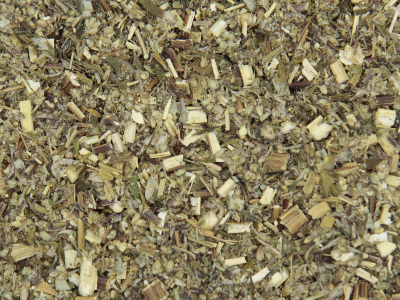 Armoise herbe Armoise herbe