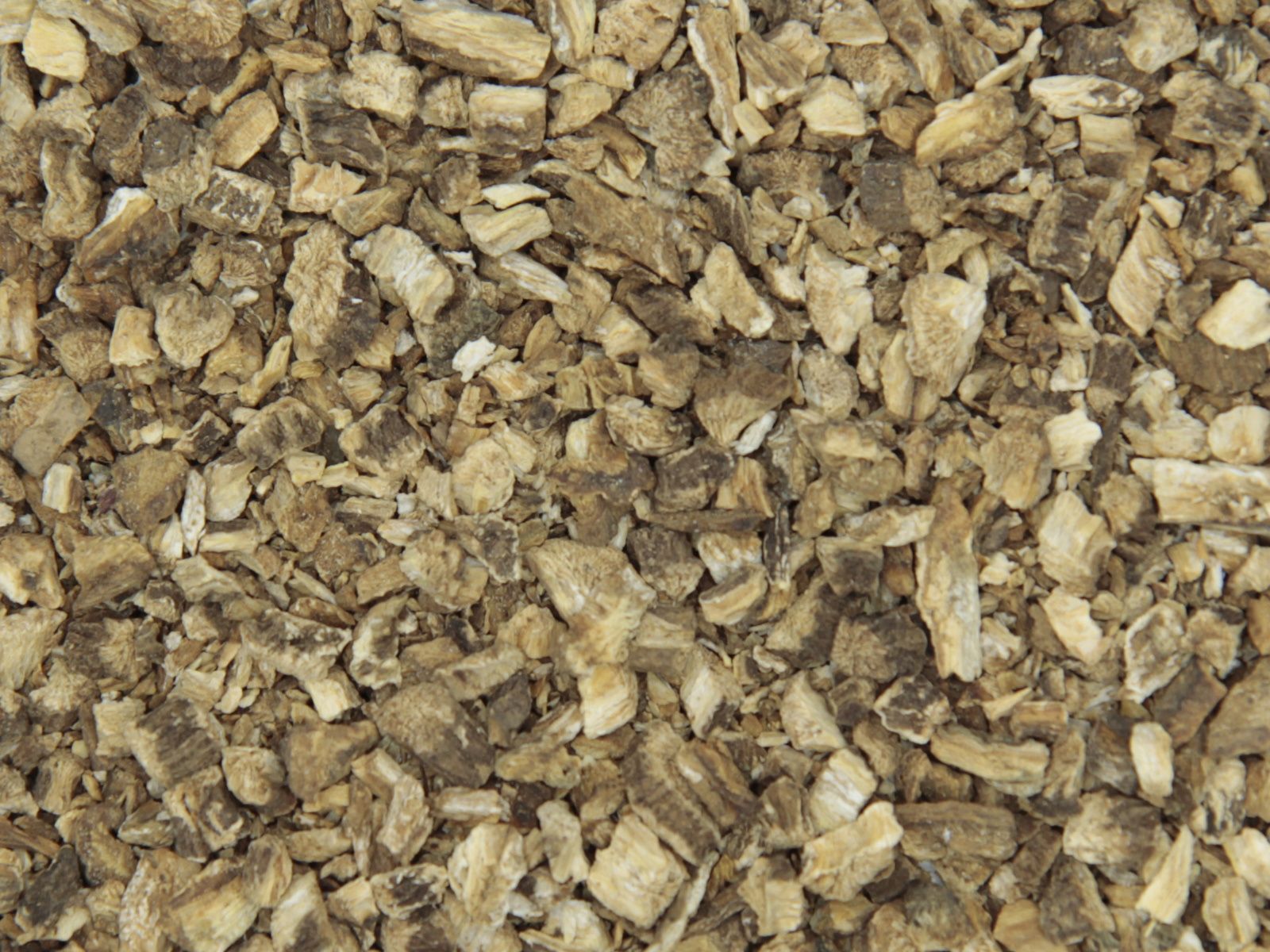 Bardane racine Bardane racine