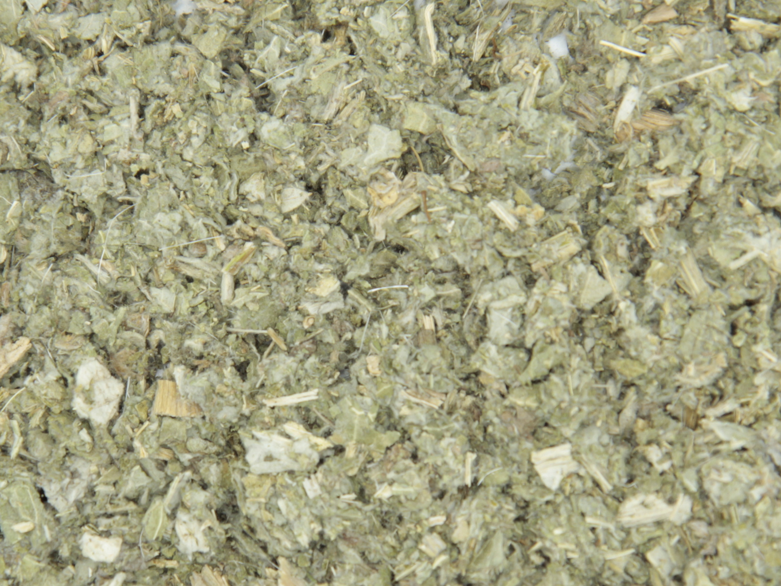 Artichaut feuille Artichaut feuille