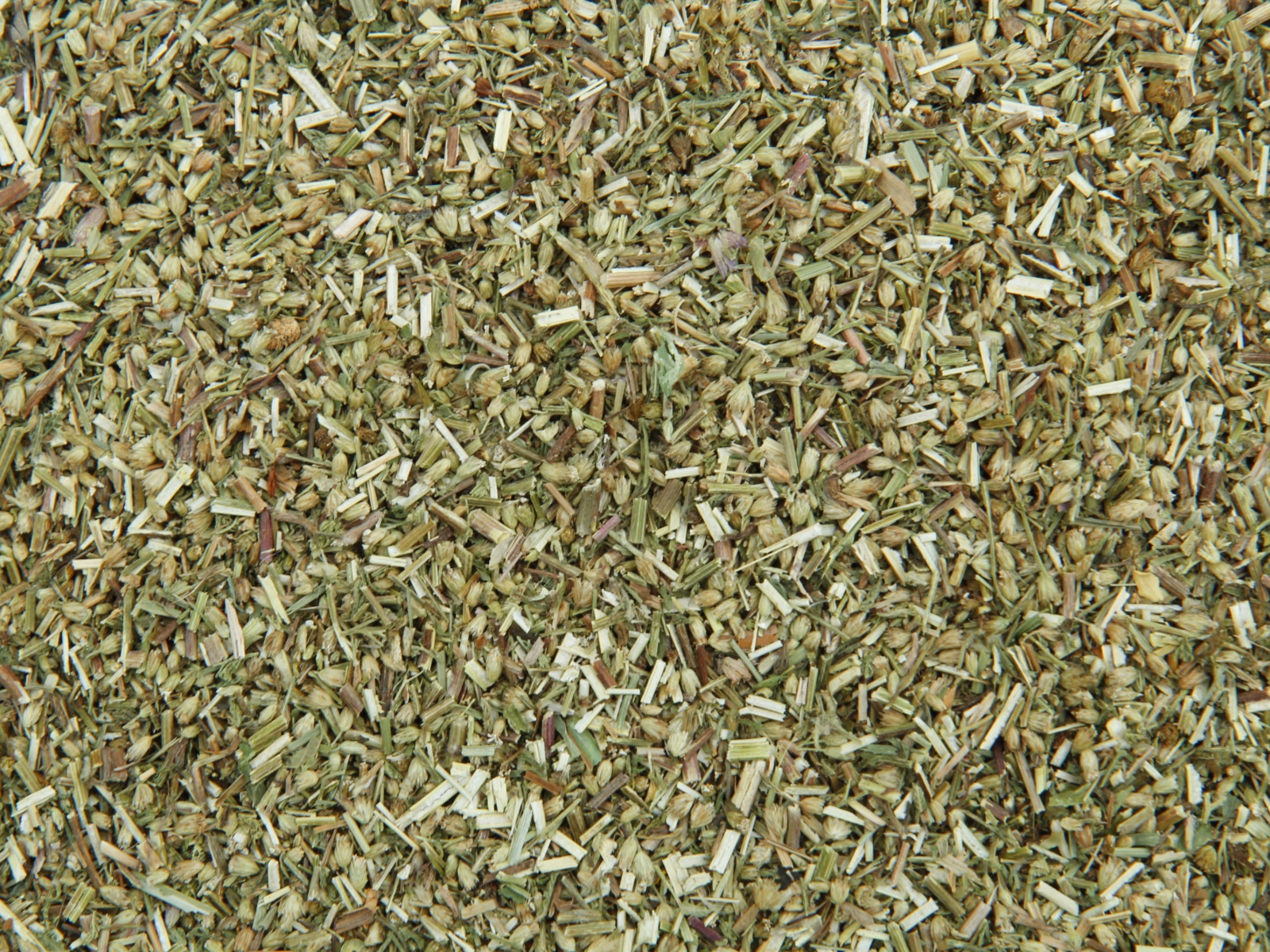 Yarrow-herb Extra quality