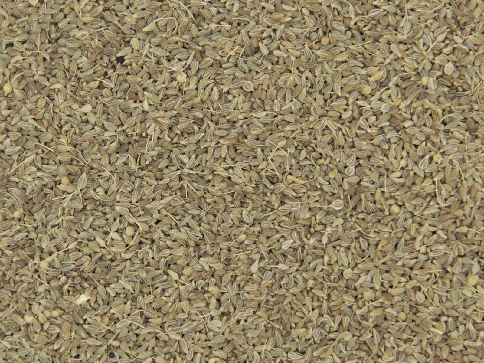 Anis graine Anis graine