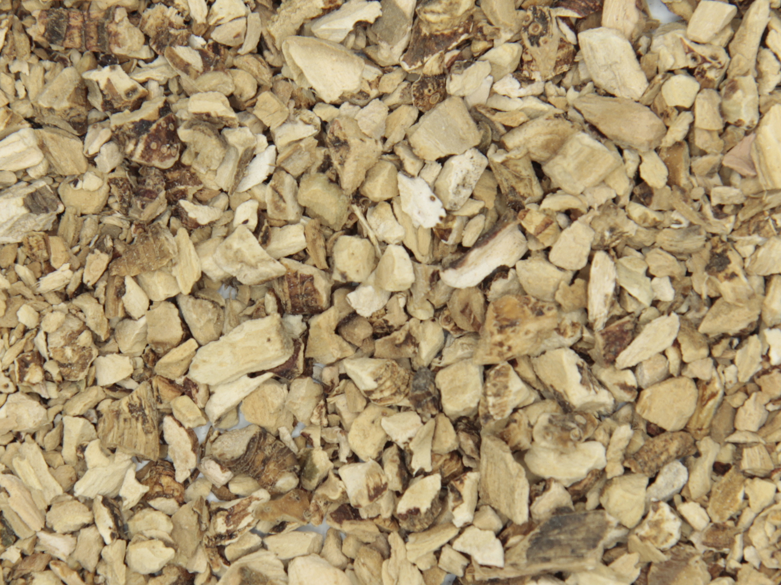 Calmus racine Calmus racine