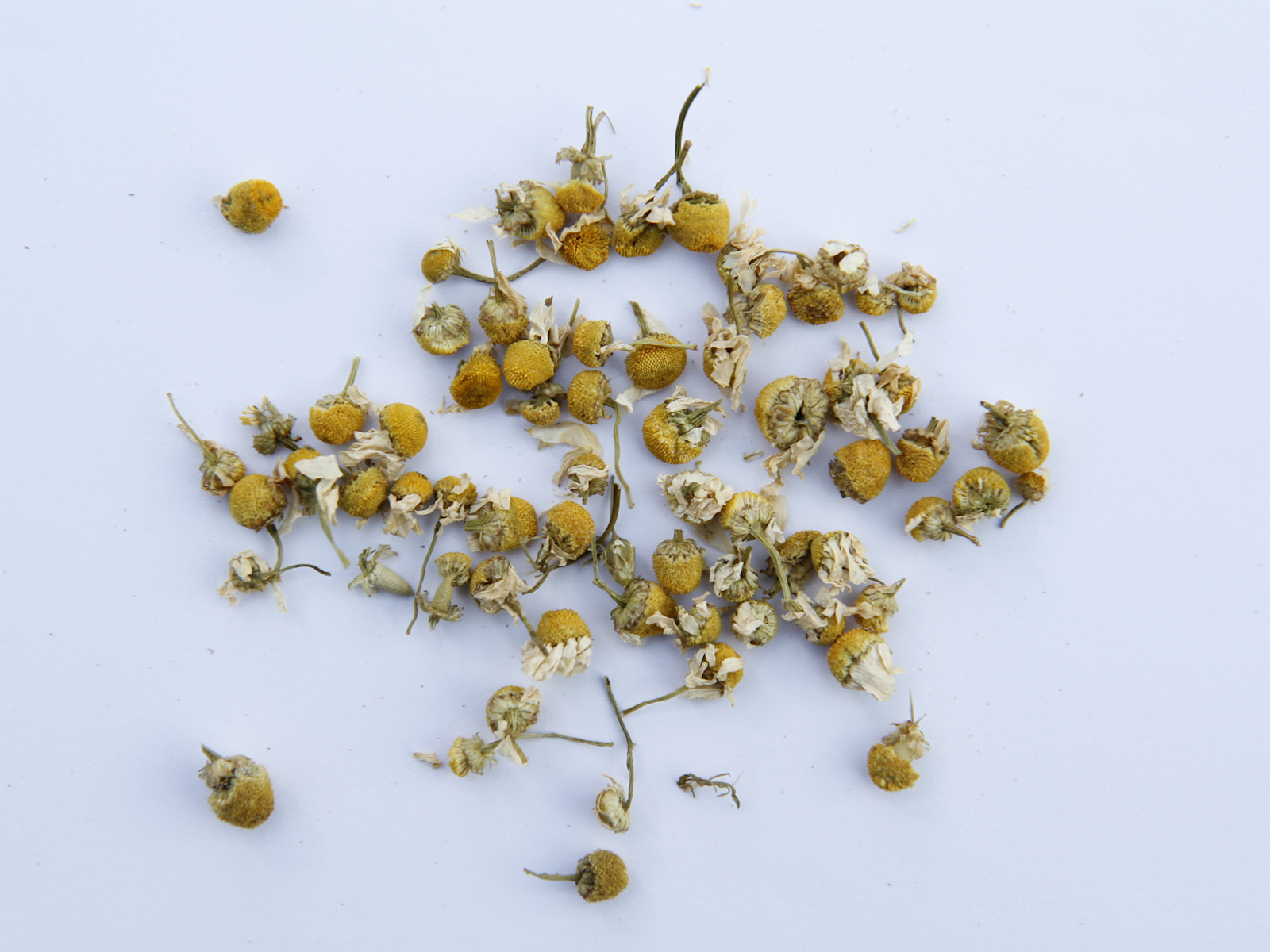 Camomile Extra quality