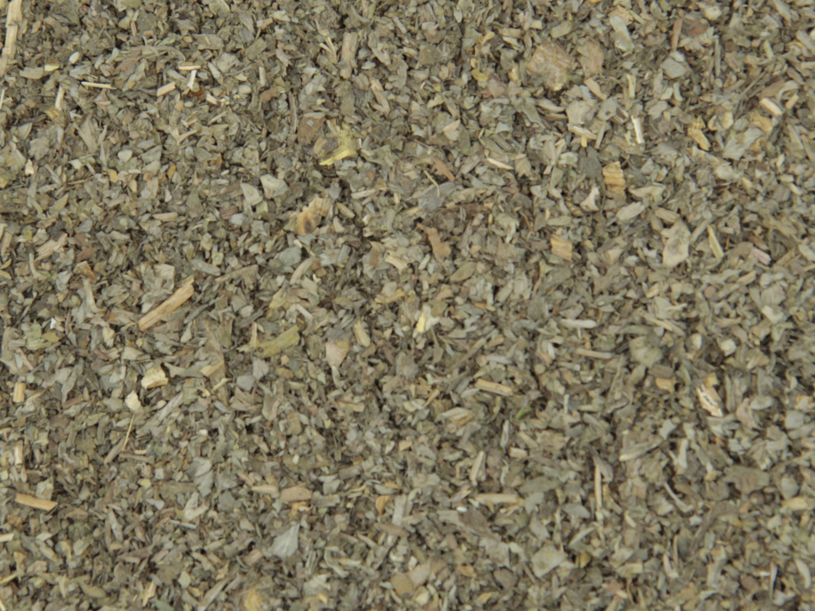 Absinthe herbe Absinthe herbe