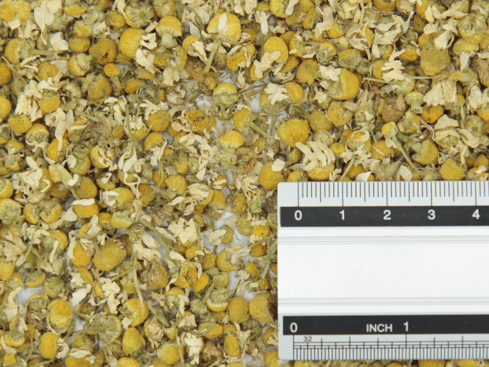 Camomile Extra quality