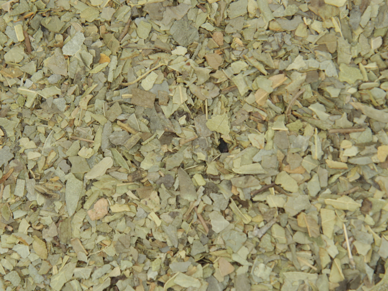 Boldo feuille (À consommer de préférence avant 03-2026)  Boldo feuille (À consommer de préférence avant 03-2026)