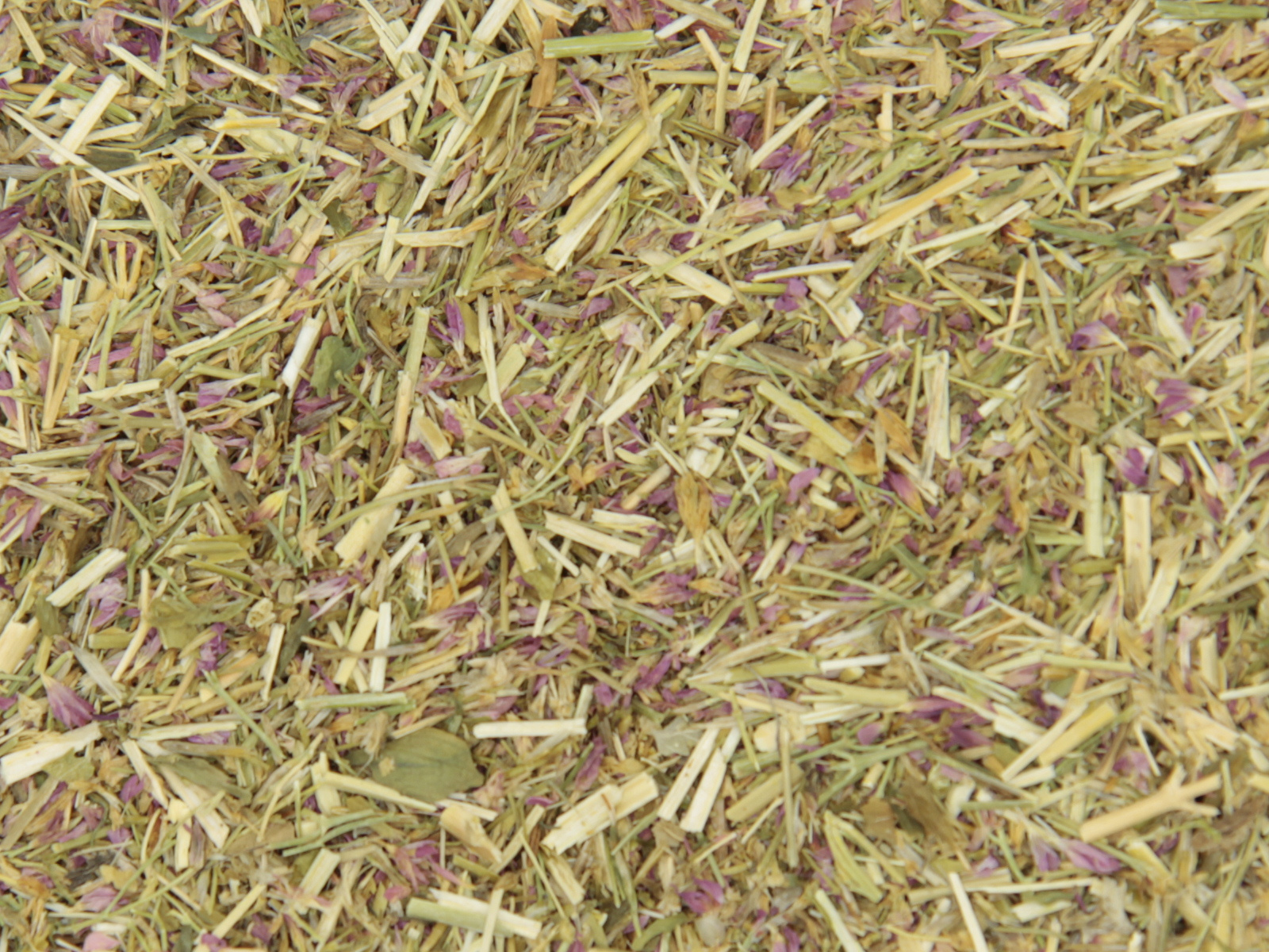 Centauree-herbe Centauree-herbe