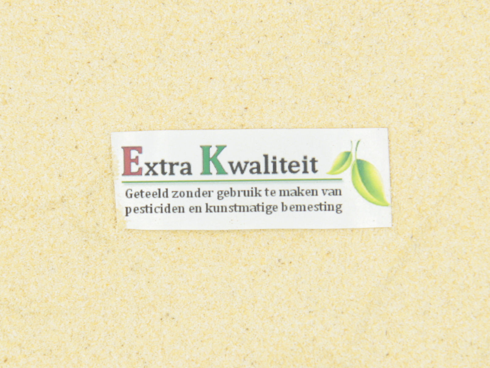 Ail de cuisine powdre Qualite extra Ail de cuisine powdre Qualite extra