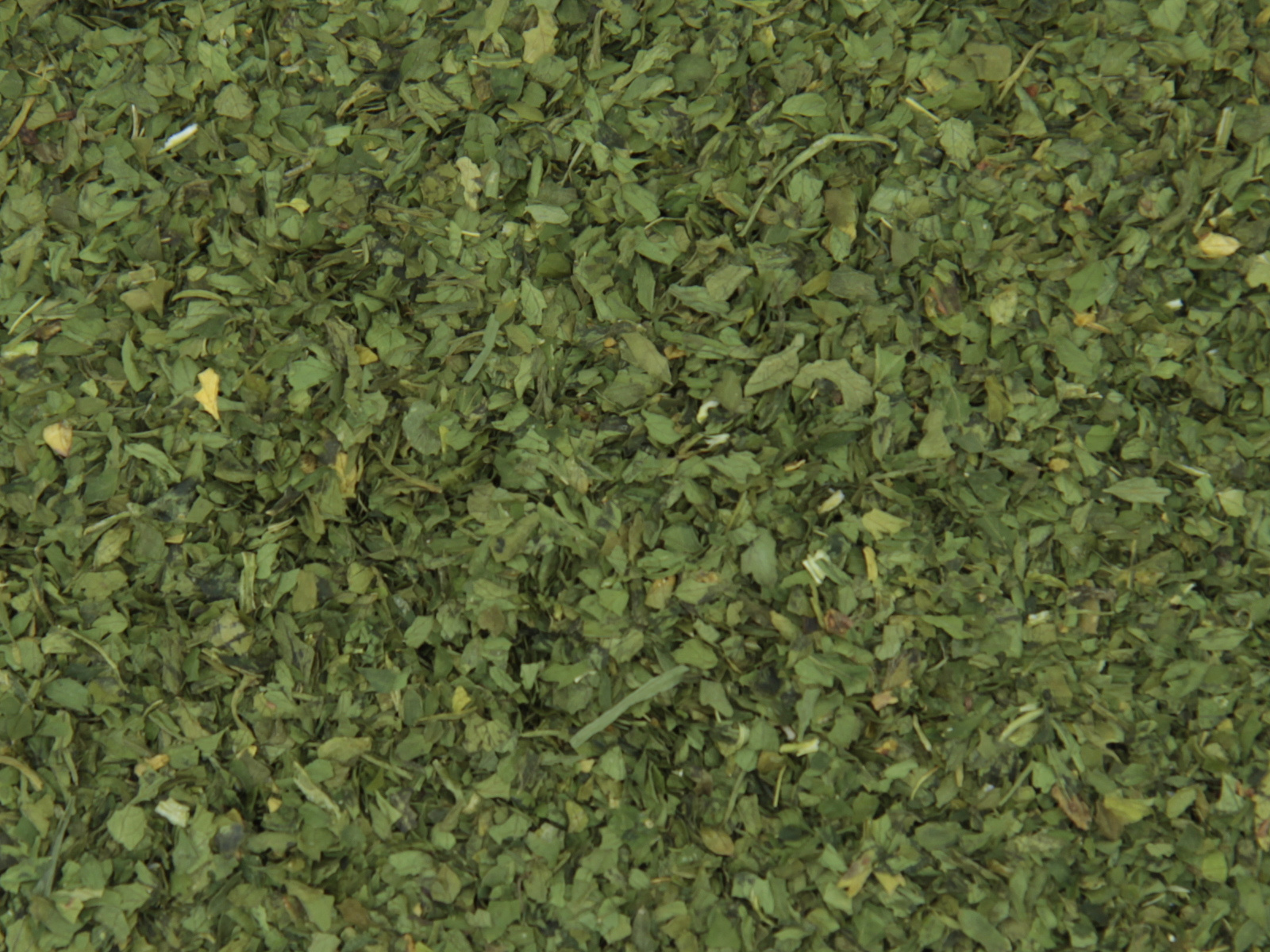 Parsley leaves