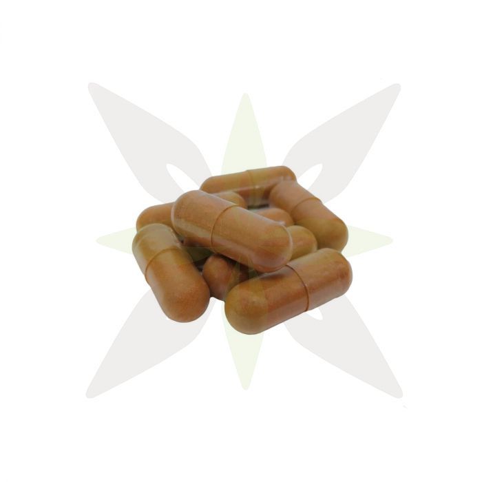 7 Mushroom capsules 60 pièces bio