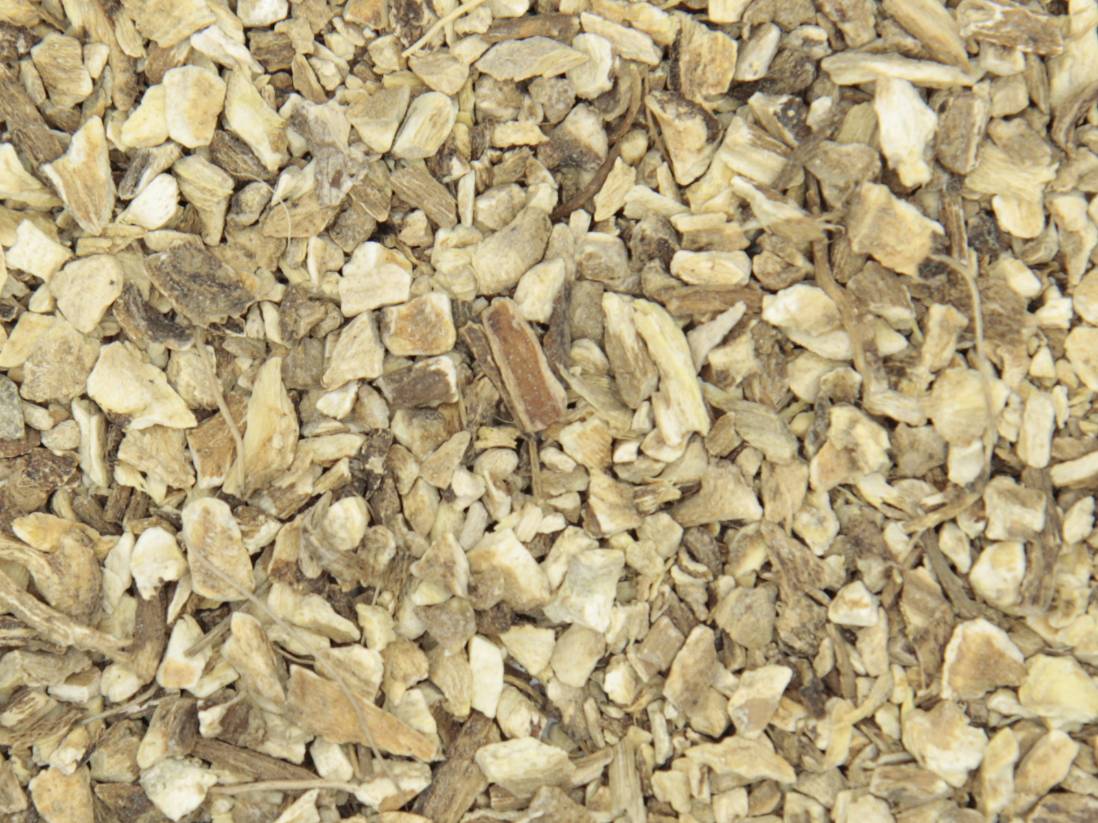 Aunee racine Aunee racine