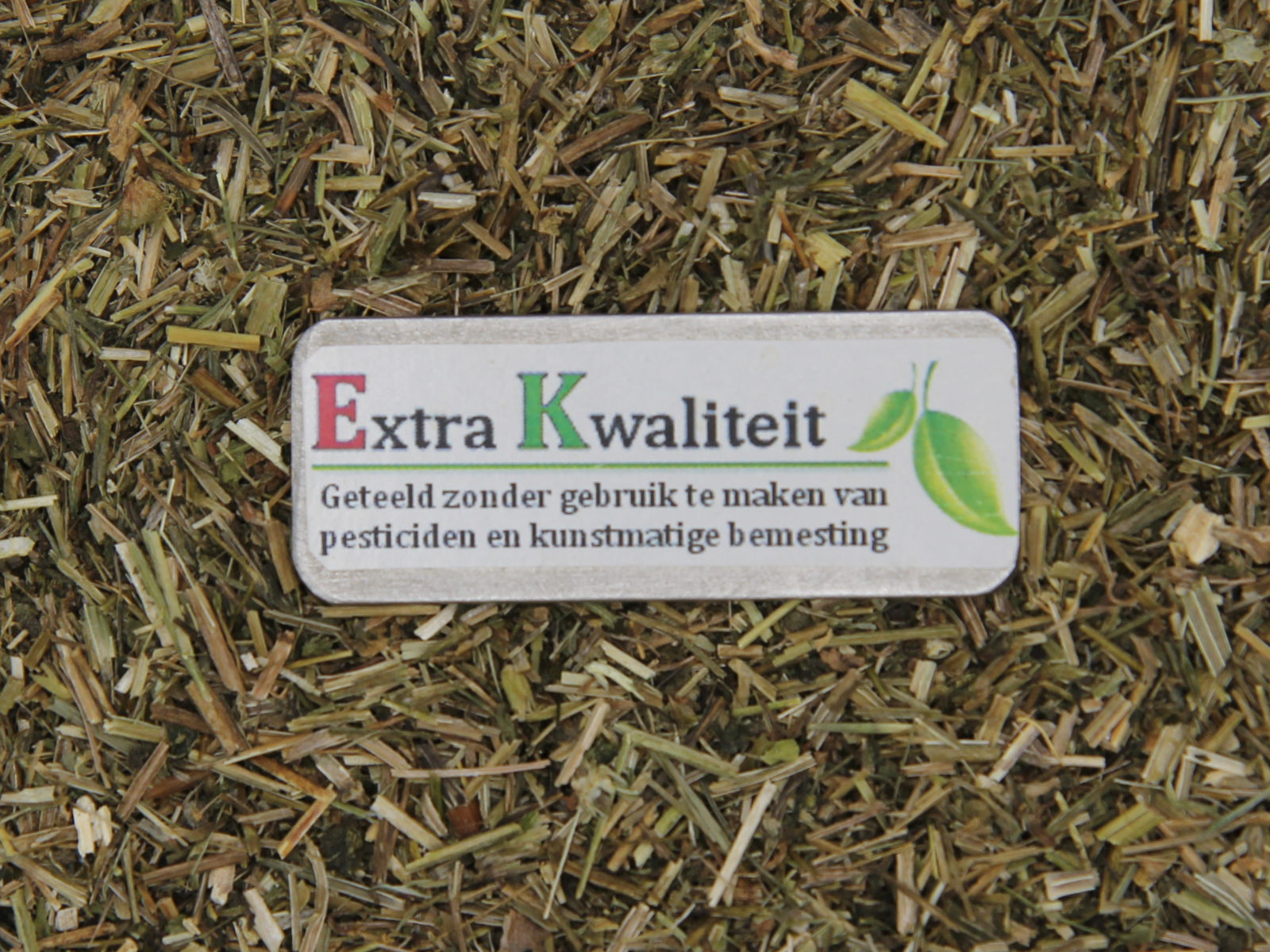 Labkraut klettern Extra qualität